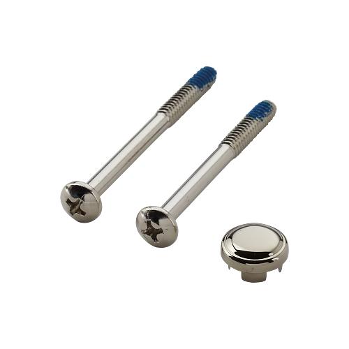 Kingsley - Handle Cap and Screw