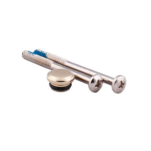 Kingsley - Handle Cap and Screw