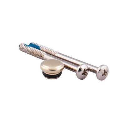 Kingsley - Handle Cap and Screw