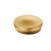 Moen® 130966 Hinge Pin Cap