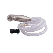 Spray Head - and Hose Assembly