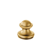 Moen® 165998 Spout Cap