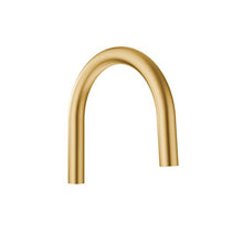 Moen® 168501 Pull-Out Spout