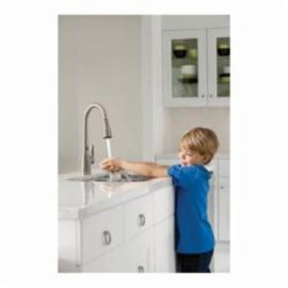 Arbor Kitchen Faucet, Polished Chrome
