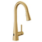 Sleek - Pull-Down Kitchen Faucet - Brushed Gold - 3/8"
