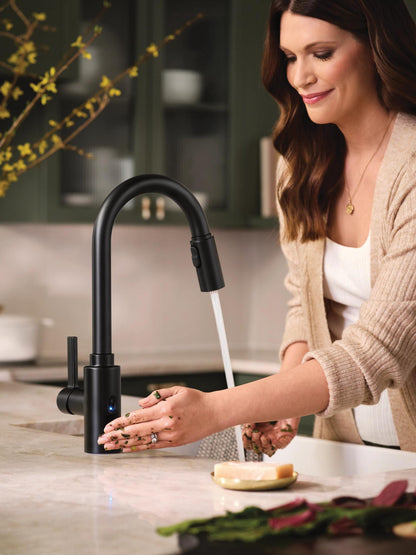 Genta Lx - Pull-Down Kitchen Faucet - Sink/Countertop