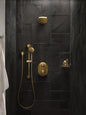 Moen® M-Pact™ M-Core™ UTS2411BG Transfer Valve Trim With Integrated Diverter, Brushed Gold