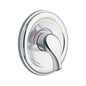 Moen® TL170 Valve Trim, Polished Chrome