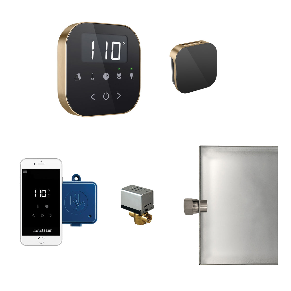Airbutler - Steam Shower Control Package - ABUTLER1B-BB