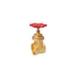 Proline - 2" Gate Valve - Forged Brass - FNPT