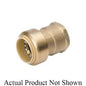 Proline - 1/2" Standard Female Adapter - Brass - Lead-Free