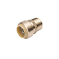 Proline - 1/2" Male Adapter - Brass - Push-Fit x MNPT