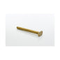 Closet Bolt - 5/16" x 3-1/2" L Thread - Brass