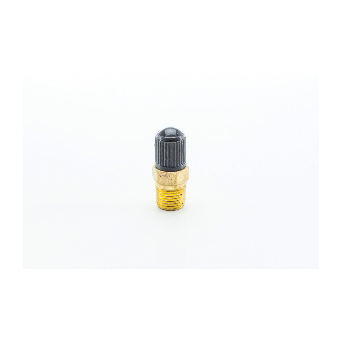 Air Valve with Cap - 1/8"