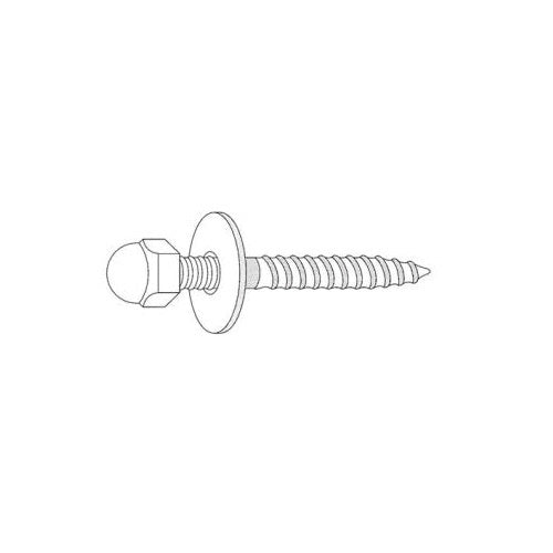 Combo Closet Screw with Nut - 1/4" x 2-1/2" L Thread - Brass