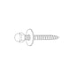 Combo Closet Screw with Nut - 1/4" x 2-1/2" L Thread - Brass