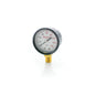 Pressure Gauge - 1730-PAS