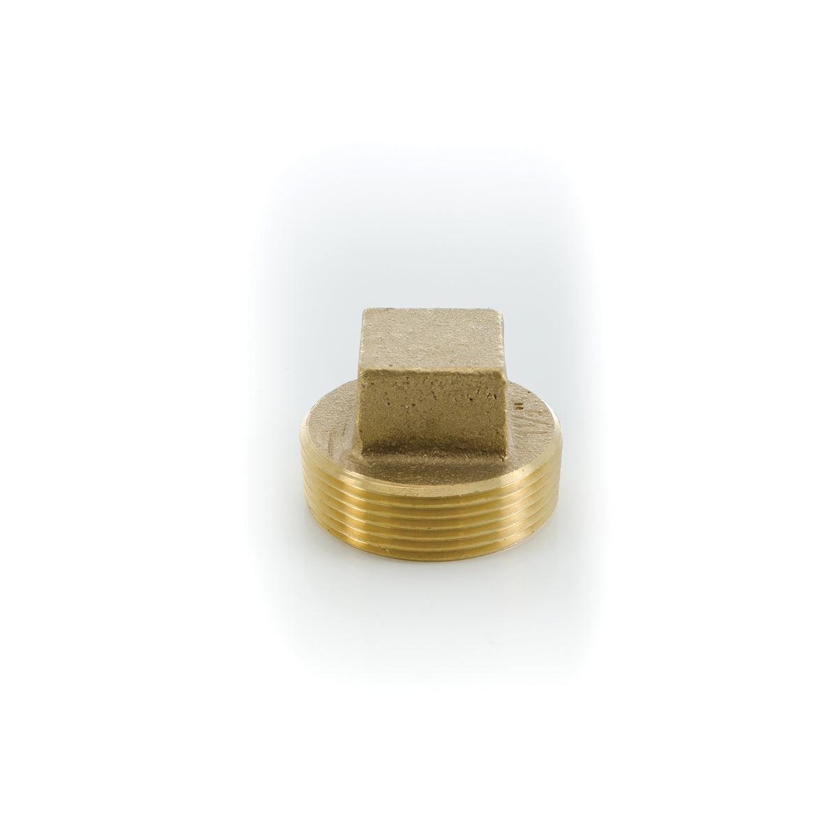 Raised Head Cleanout Plug - 1-1/2" - Brass