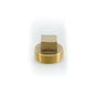 Raised Head Cleanout Plug - 1-1/2" - Brass
