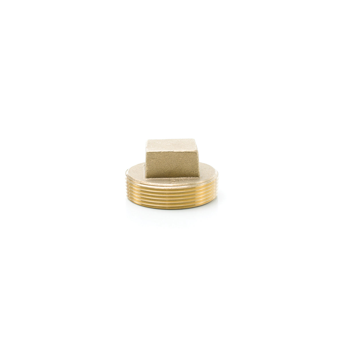 Raised Head Cleanout Plug - 2" - Brass