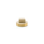 Raised Head Cleanout Plug - 2" - Brass