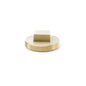 PASCO 1863 Raised Head Cleanout Plug, 4 in, Brass