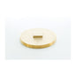 PASCO 1875 Raised Head Cleanout Plug, 5 in, Brass