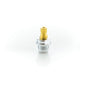 Cold Stem - 2837-C