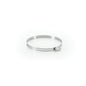 Hose Clamp - 4-5/8 to 5-1/2" Clamp