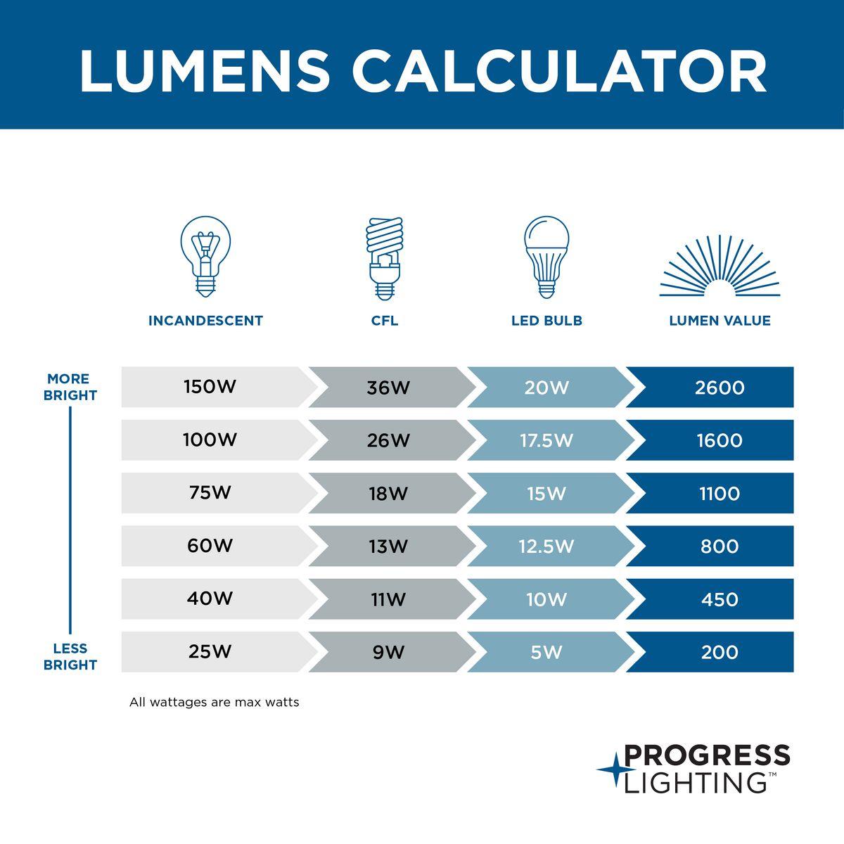 Light - Ceiling Mount - 120 V