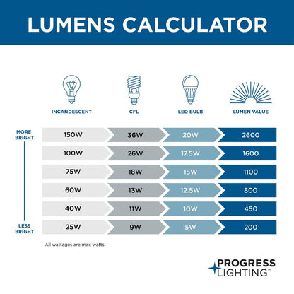 Light - Ceiling Mount - 120 V