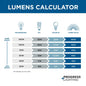 Light - Ceiling Mount - 120 V