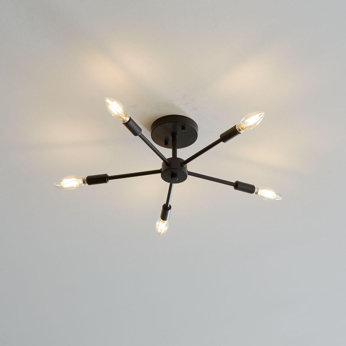 Light - Ceiling Mount - 120 V