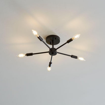 Light - Ceiling Mount - 120 V