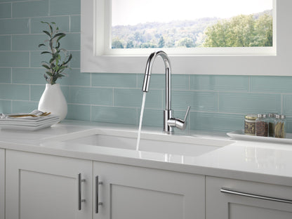 Pull-Down Kitchen Faucet - Chrome - Zinc