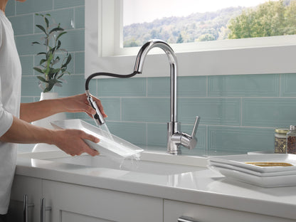 Pull-Down Kitchen Faucet - Chrome - Zinc