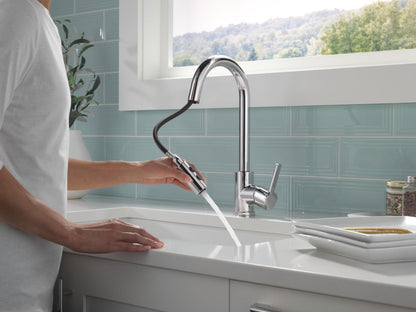 Pull-Down Kitchen Faucet - Chrome - Zinc