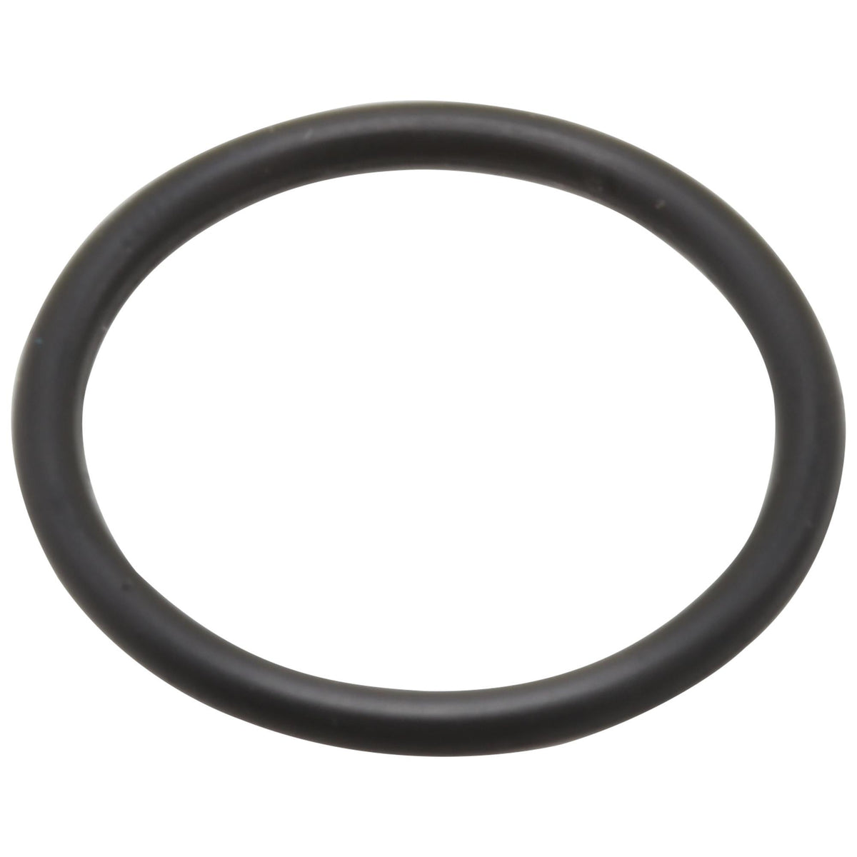O-Ring - RP20050