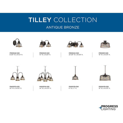 Tilley - Industrial/Transitional Bath Fixture - Wall Mount