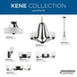 Kene - Bath Vanity Light Fixture - (4) A19 Lamp