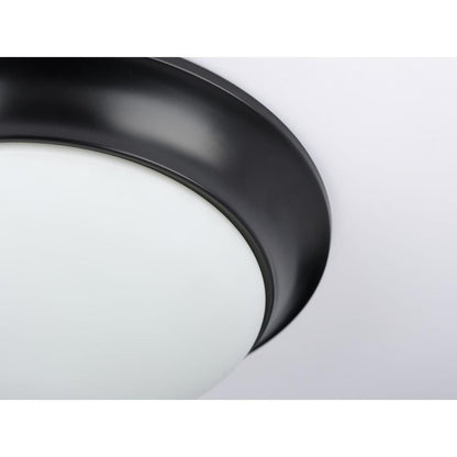 Transitional Flush Mount Light - Ceiling/Flush - 120 V