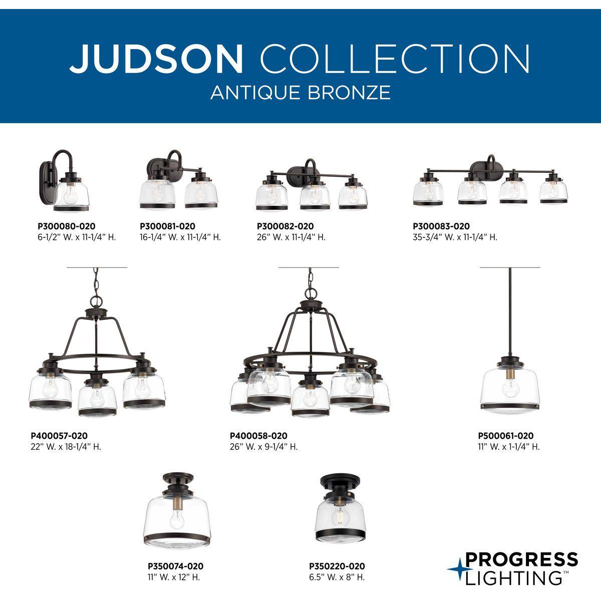 Judson - Industrial Chandelier - Hanging - 120 V AC