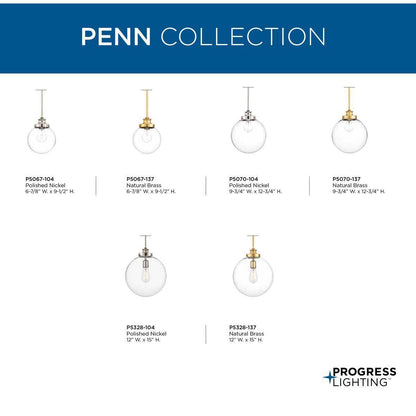 Penn - Traditional Casual Pendant Fixture - Ceiling/Stem