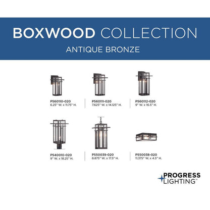 Boxwood - Craftsman Modern Mountain Medium Wall Lantern