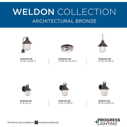 Weldon - Farmhouse Large Transitional Wall Lantern - 120 V