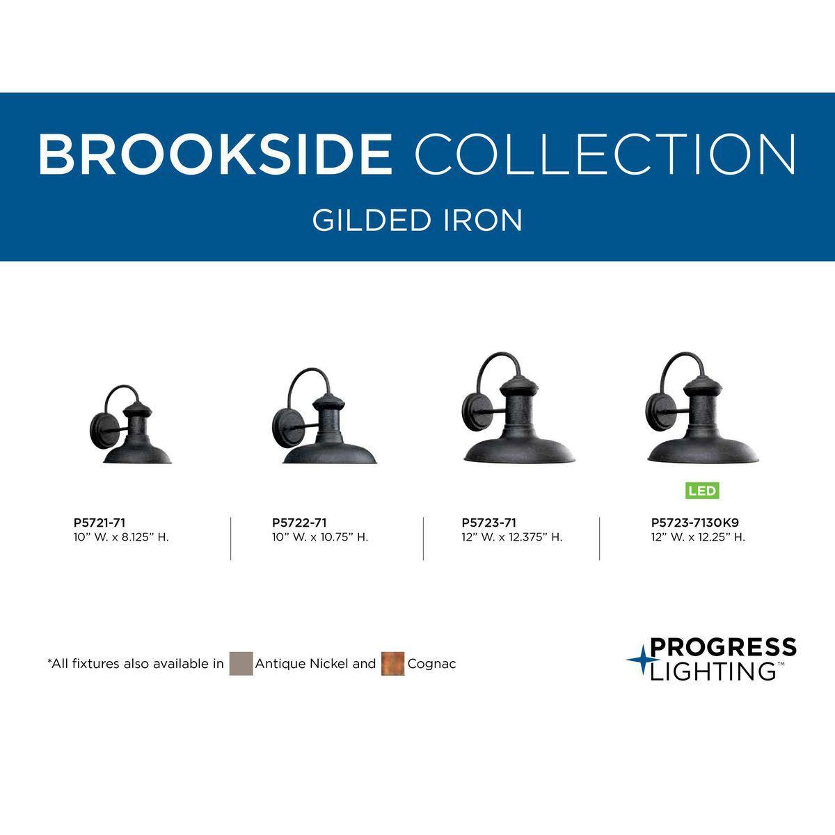 Brookside - Classic/Traditional Wall Lantern - 120 V AC