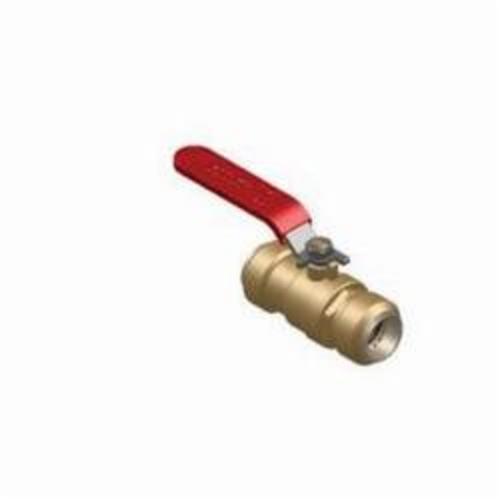 1/2" Ball Valve - Brass - PEX