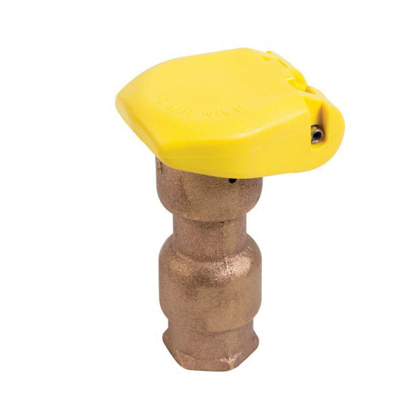 Quick Coupling Valve - 3/4" - Brass