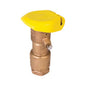 Quick Coupling Valve - 1" - Brass