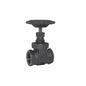 206F - 3/4 Standard Gate Valve - Brass - Thread